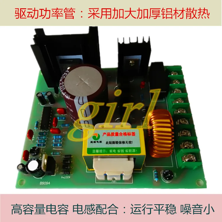 Высокая мощность PWM110V постоянного тока постоянный магнит возбуждение