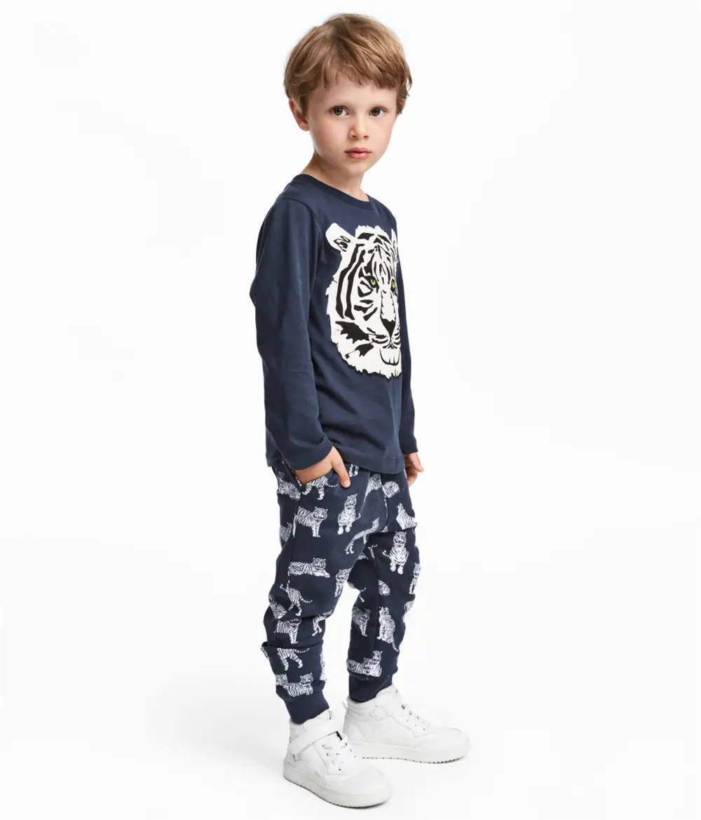 Littlemandy Boys Pants Tiger Cotton Children Trousers 2019 Brand Autumn Winter Baby Clothes Sweaterpants Kids Leggings |