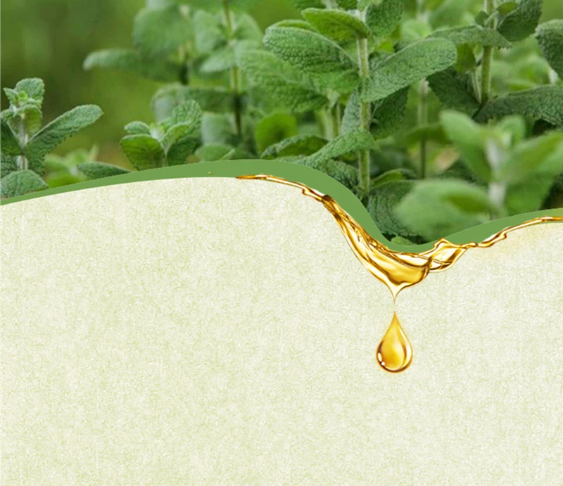 Dimollaure эфирное масло перечной мяты 30мл устраняет усталость ароматерапия