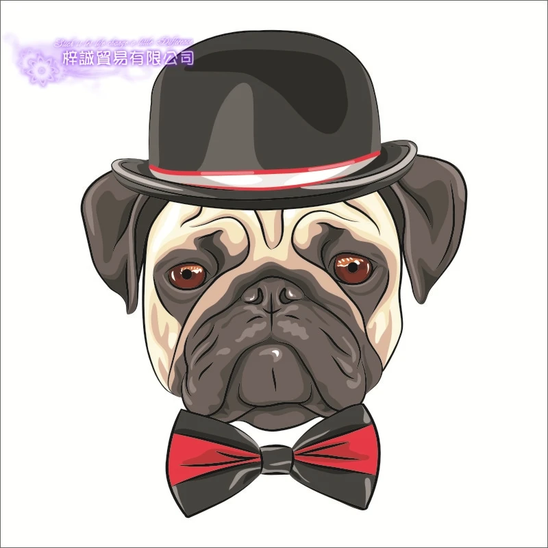 DCTAL Pet Shop стикер виниловая наклейка на стену парикмахерский салон для домашних