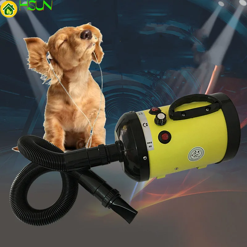 

2800W Pet Blowing Machine Mute High Power Hair Dryer Professional Big Dogs And Cats Blow Drier Dedicated Non-crane Style EU Plug