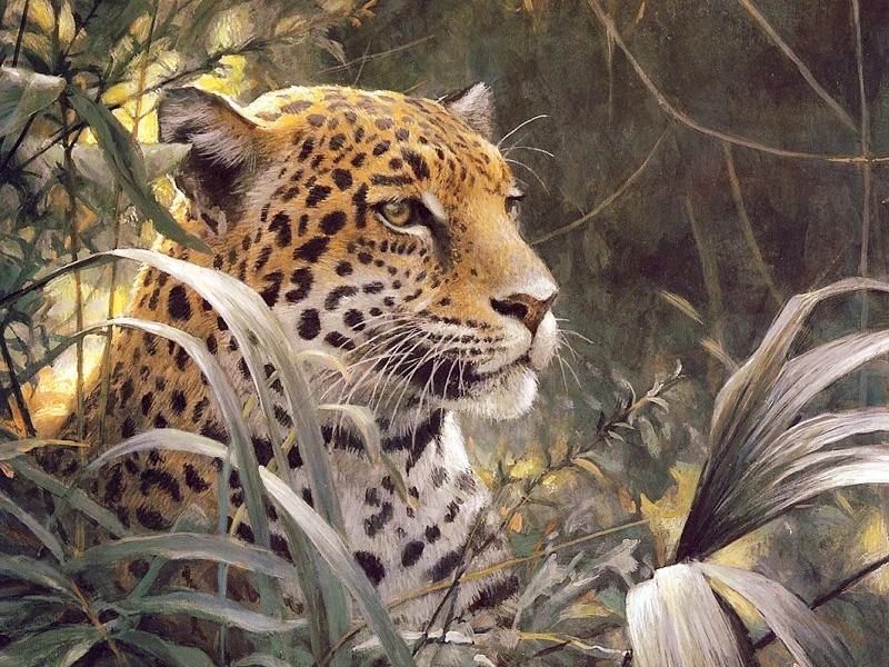 5D поделки алмазов картина Леопард Вышивка полный с кристаллами Leopard Животные