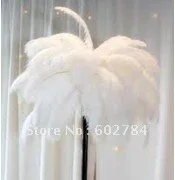 

Free shipping 100pcs/ lot 16-18inch 40-45cm white ostrich feather wholesale