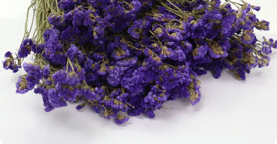 55 см натуральный воздушный сушеный Forget-me-not букет из сушеных цветов Рождественские Свадебные украшения цветы семейные вечерние композиции цветов