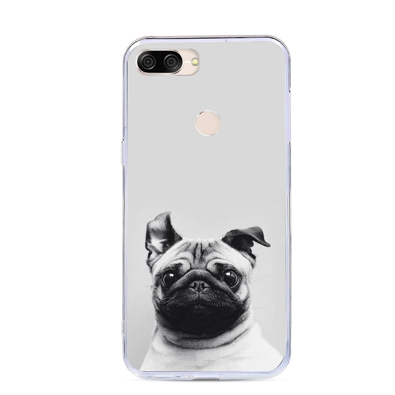J&RCartoon Cute Phone Case For Asus Zenfone Max Plus M1 Silicon Soft Back Cover ZenFone ZB570TL X018D Pegasus 4s |