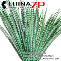 chinazp factory 50pcslot size from 3035inch 7587cm top quality dyed green long lady amherst pheasant tail feathers
