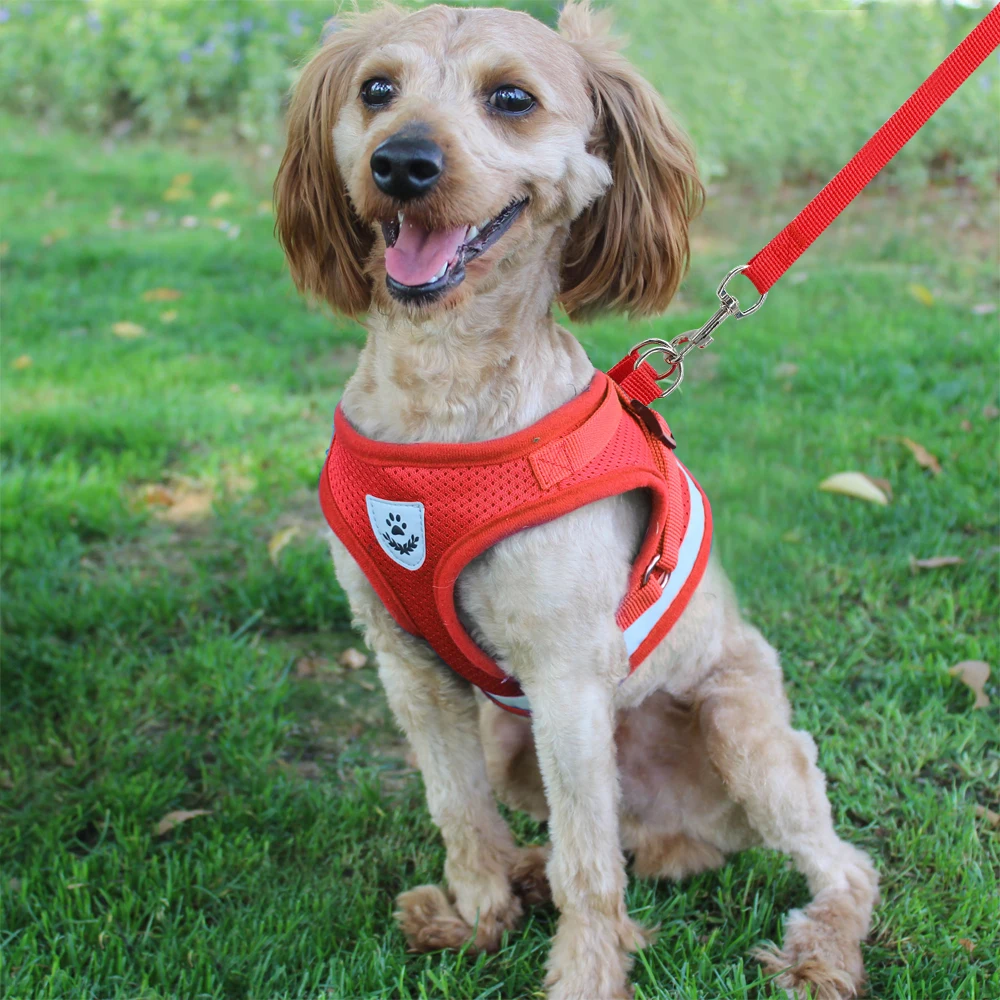 Светоотражающая шлейка и поводок для кошек нейлоновая сетчатая жилетка котят