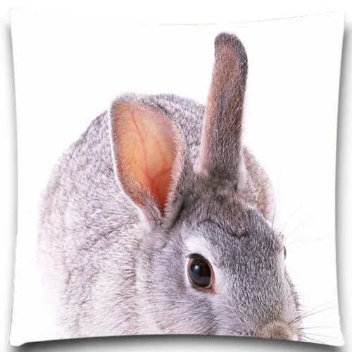 Квадратный Чехол Подушка с изображением серого кролика и змеи 18 дюймов чехол из