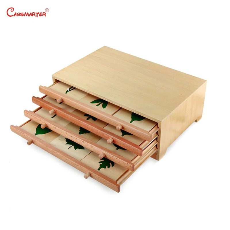 

Botany Leaf Cabinet Puzzles Wooden Box Montessori Biological Teaching Toys Education Early Kids Preschool Materials