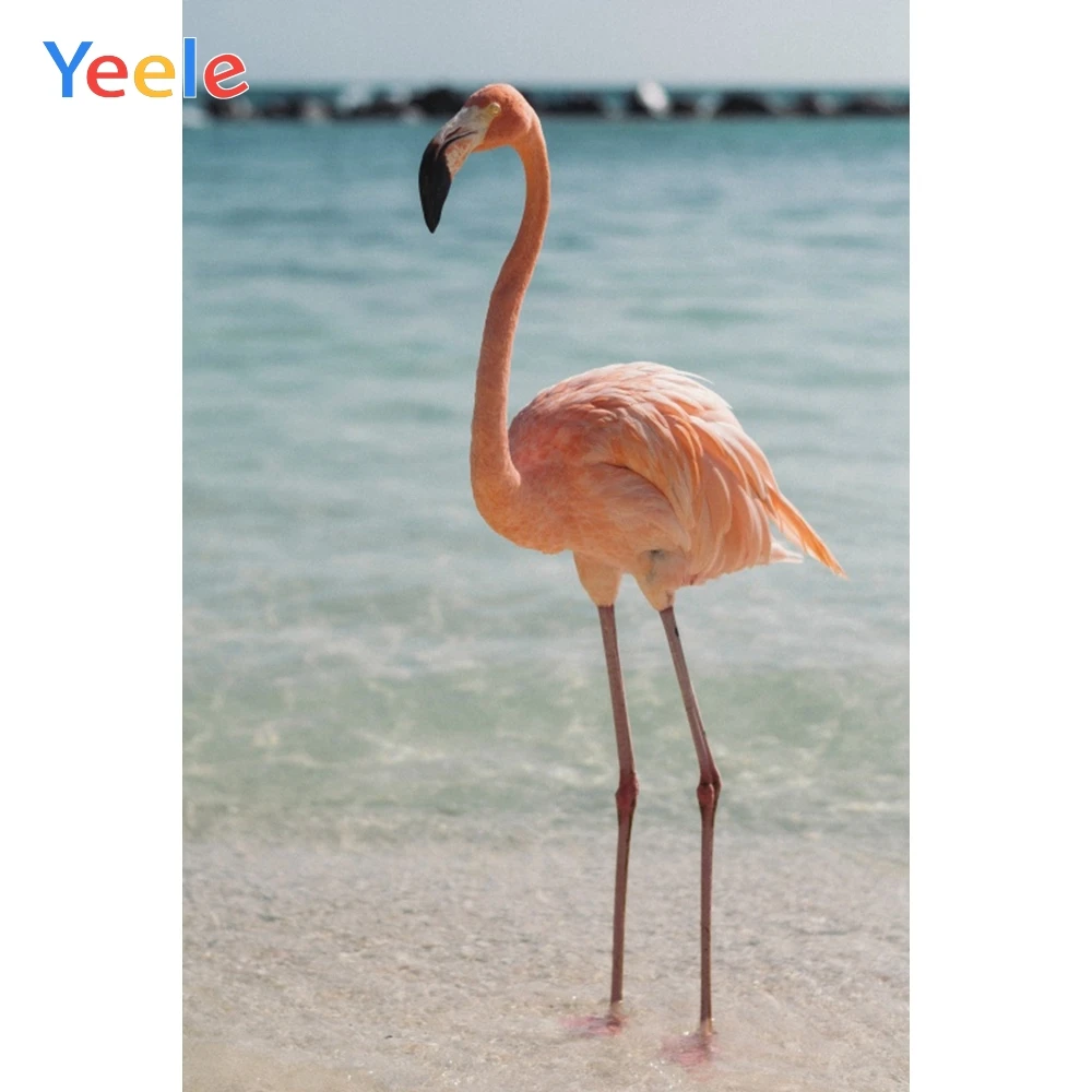 Yeele пейзаж фотосессия Фламинго боке река Симпатичные фотографии фоны