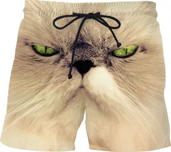 Пляжные шорты с котом