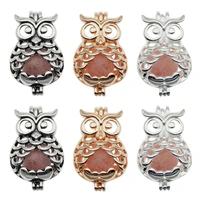 10pcs trendy owl oyster pearl cage locket pendants animal aromatherapy essential oil diffuser necklace locket for diy jewelry