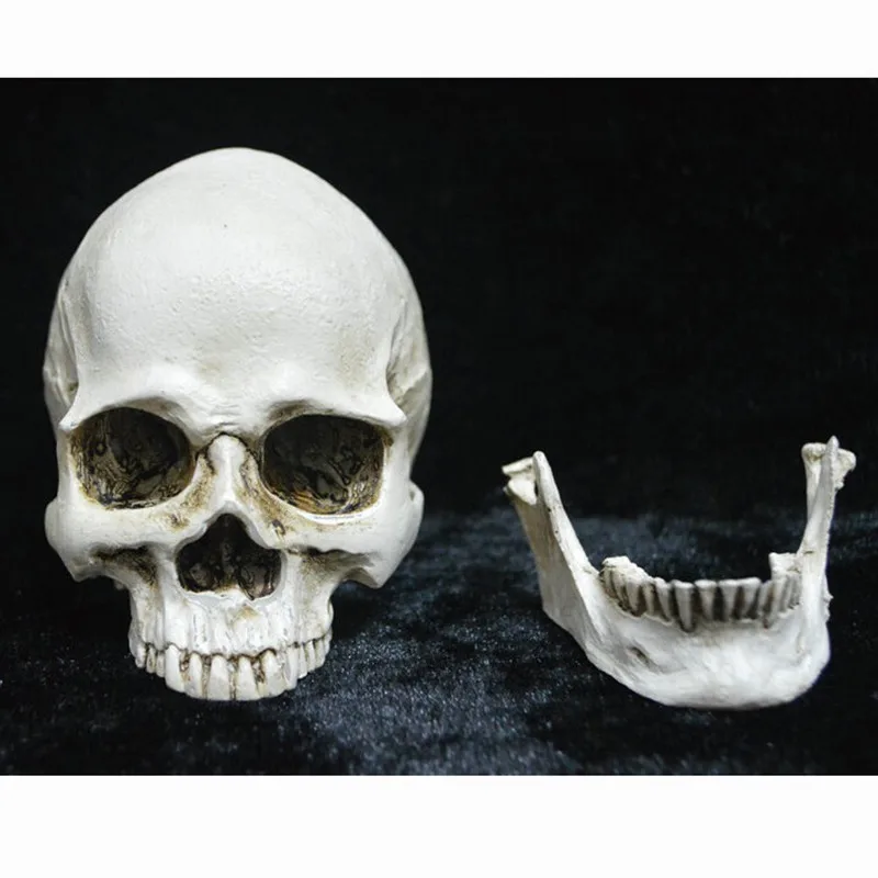 

Simulation Skull Tooth Separation Toys Halloween Resin Gags Skull Action Figure Tricky PVC Toy 7*9cm for Christmas Gift N039