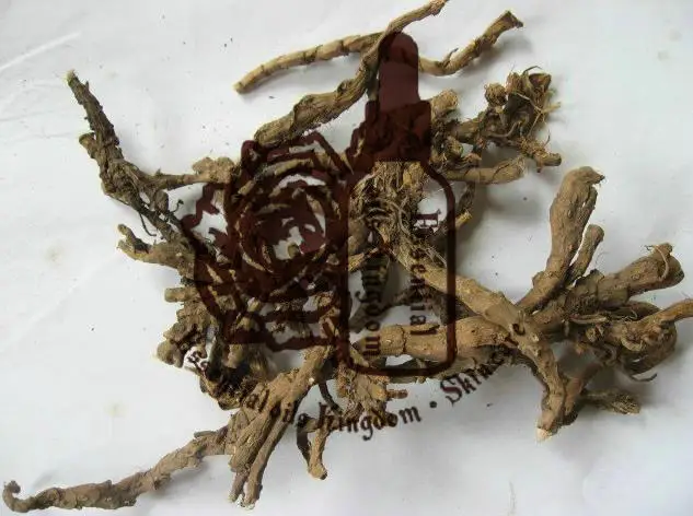 Растительное медицинское масло желуса граминея эфирные масла RHIZOMA ACORI