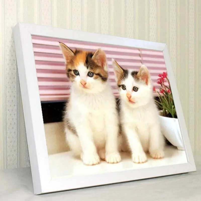 Full diamond painting kitten animal diy round drill embroidery cross stitch home decor cat mosaic picture rhinestones|full painting|diamond