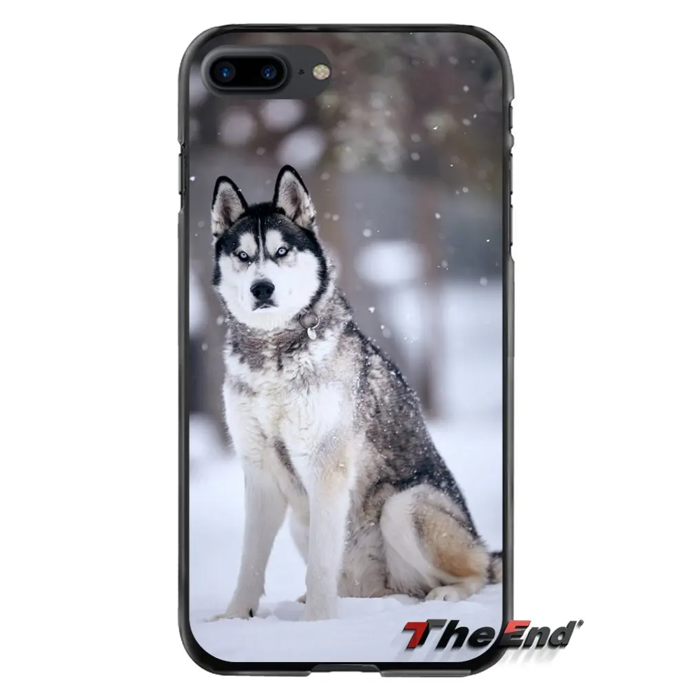 Аксессуары чехлы для телефонов Husky Dog Apple iPhone 4 4s 5 5S 5C SE 6 S 7 8 Plus X iPod Touch