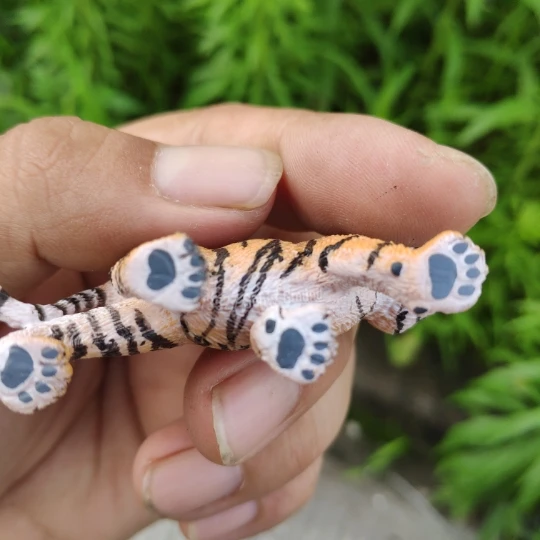 CE identification Baby Bengal tiger Siberia tigerBaby Animal simulation Collection of toys | Игрушки и хобби