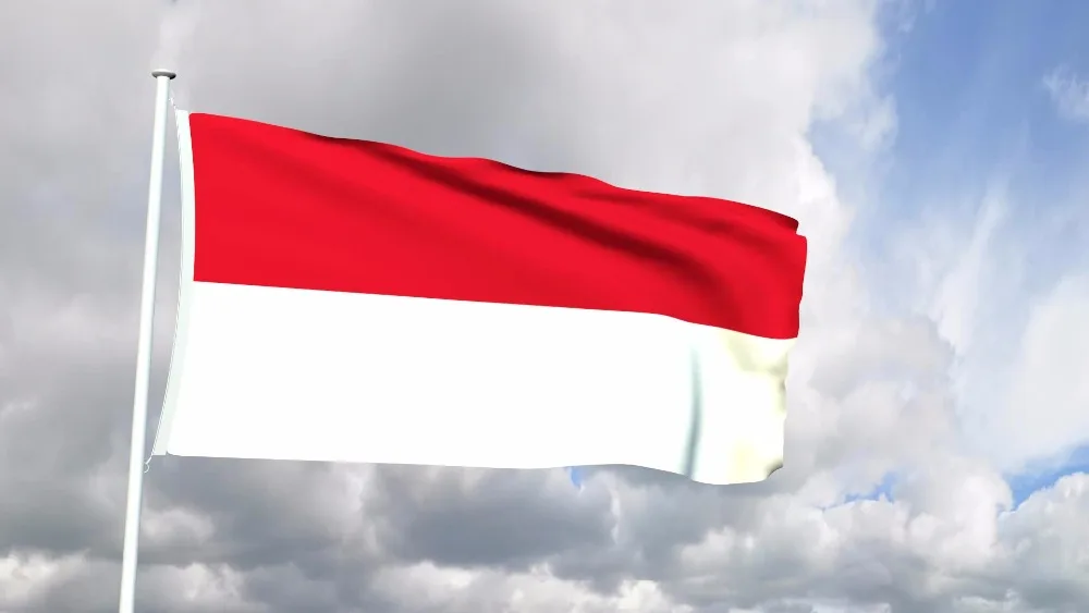 Indo Decoration NN101 индонезийский флаг 3*5 футов в помещении Азиатский флаг|indonesia flag|flag
