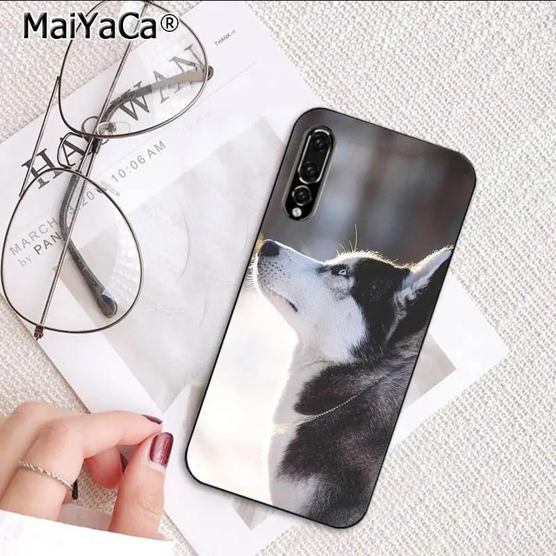 MaiYaCa симпатичная собака хаски мягкий чехол для телефона Huawei P20Lite P10 Plus Mate10Lite Mate20 P20
