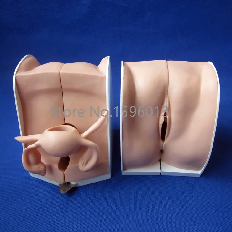 Усовершенствованная модель контрацепции противозачаточная помощь | Канцтовары