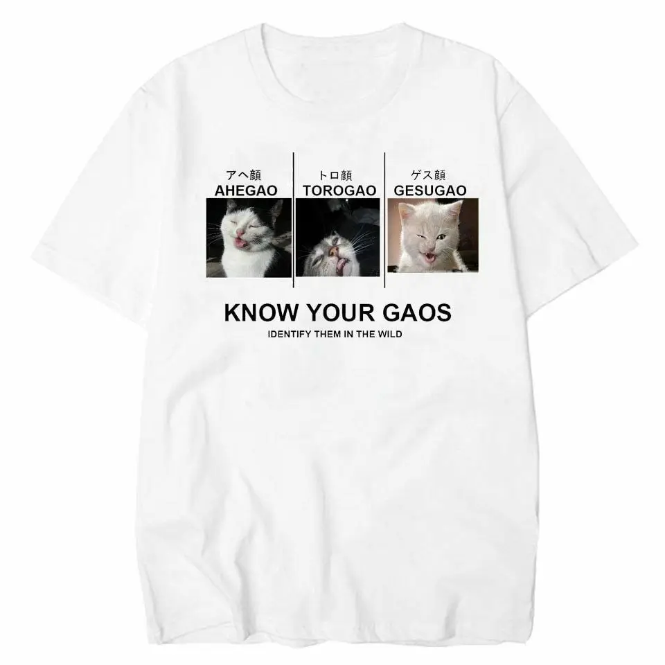 Белый Знай свое лицо Ahegao Torogao Gesugao забавный кот хэнтай меме белая футболка новейшая с буквенным принтом Мультяшные сумасшедшие футболки - Цвет: Белый