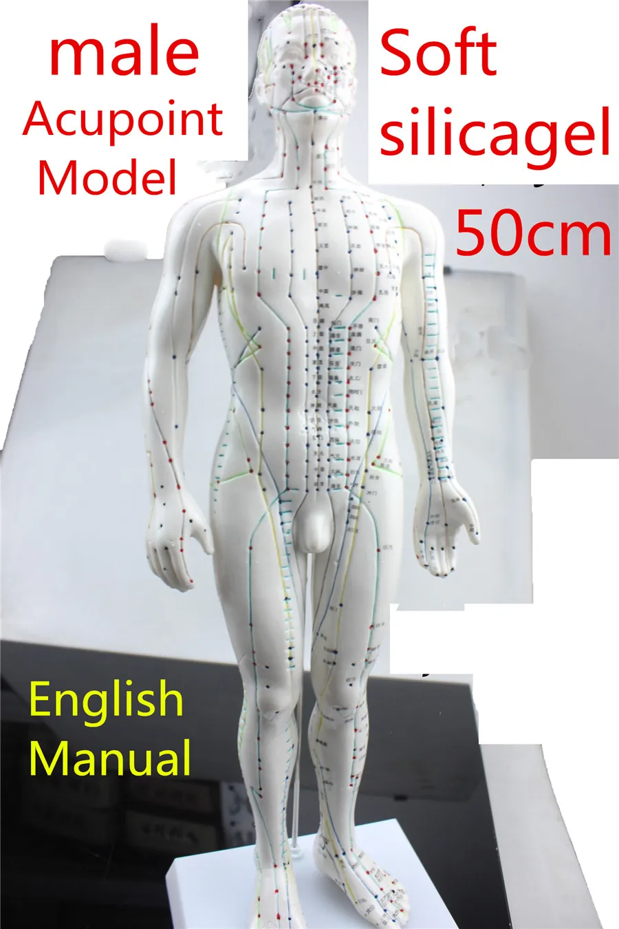 HD Soft silicagel Acupuncture Model 50cm male with Base Human acupuncture meridians model Acupoint Model Acupuncture massage