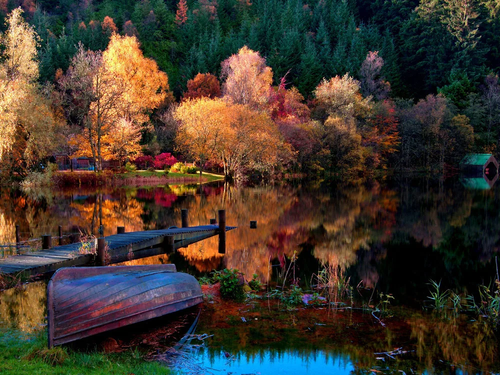 1 панель HD декоративное искусство картина озеро горы красивое дерево живопись на