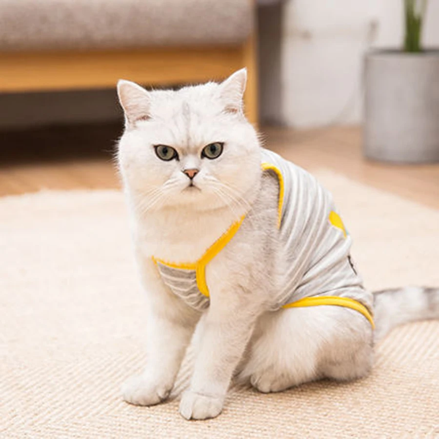 Костюм для кошки Ropa Para Gatos De Navidad Одежда собак кошек пальто модная спортивная