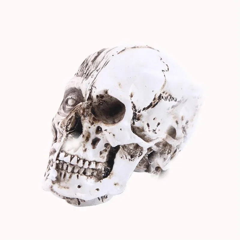 Статуя черепа из смолы, домашний декор, статуэтки для украшения, художественная резьба, эскиз, медицинская модель, декор для Хэллоуина, статуэтки, скульптура