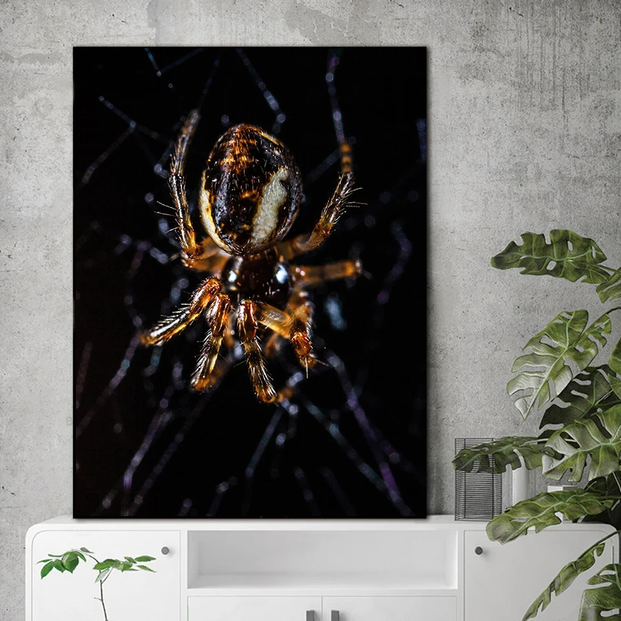 Настенные картины с изображением паука на холсте животных настенный плакат