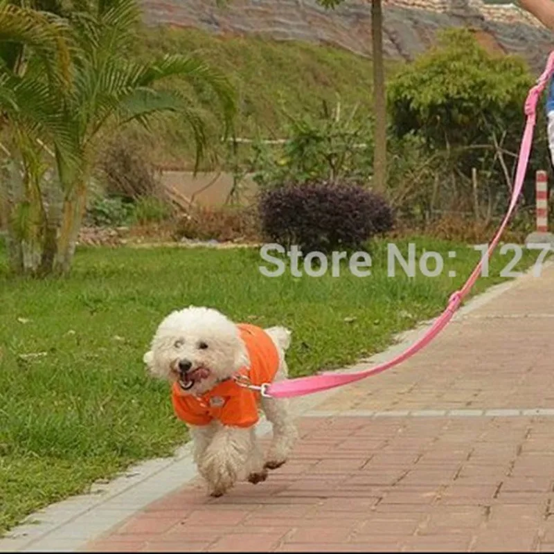 Регулируемый поводок для собак 7 цветов бега пеших прогулок бега|dog lead|hands free leashleash