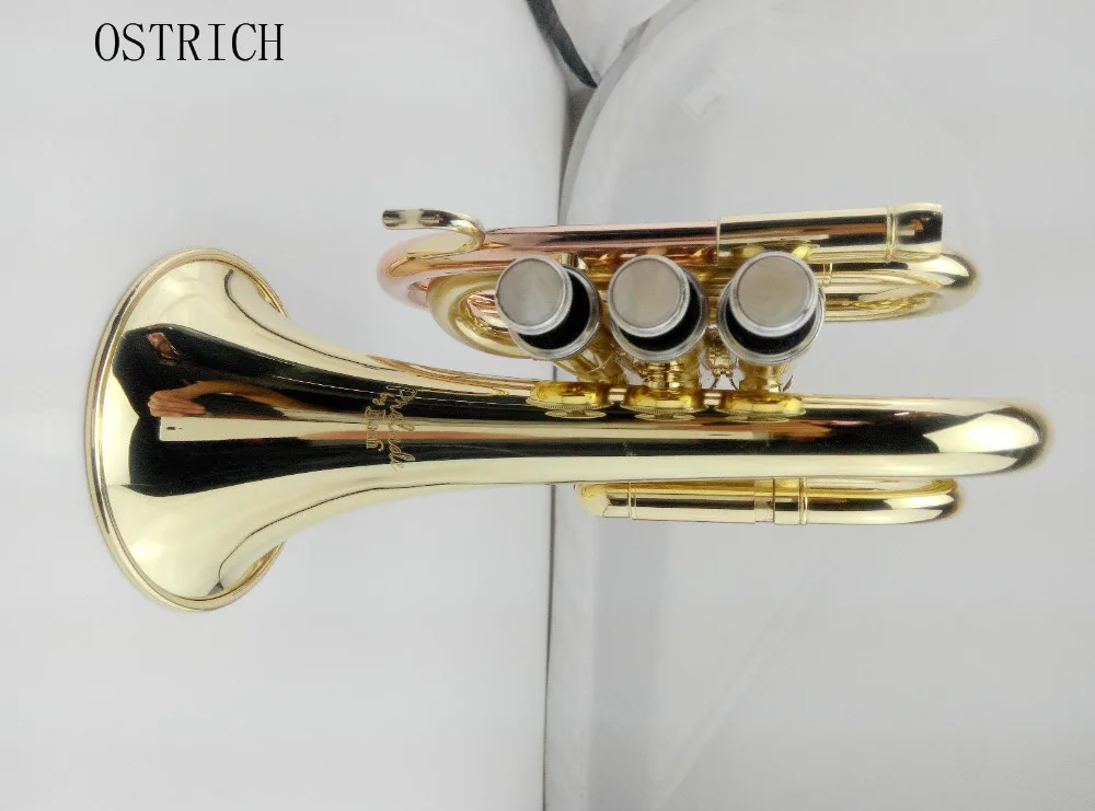 

NEW OSTRICH Finish Pocket Trumpet Gold Band Student Beginner Starter Gift Intermediate Brass Bb