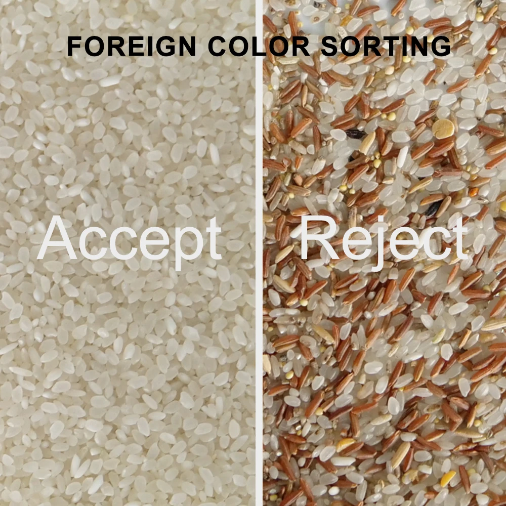 Colour Sorter Broken Rice Paddy Separator Electric Stone Removing Machinery To Process Seeds |