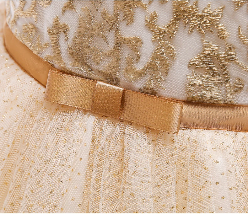 2018 Winter Embroidery Birthday Christmas Dress Girl Party Wedding Kids Dresses For Girls Costume Clothes Princess | Детская одежда и
