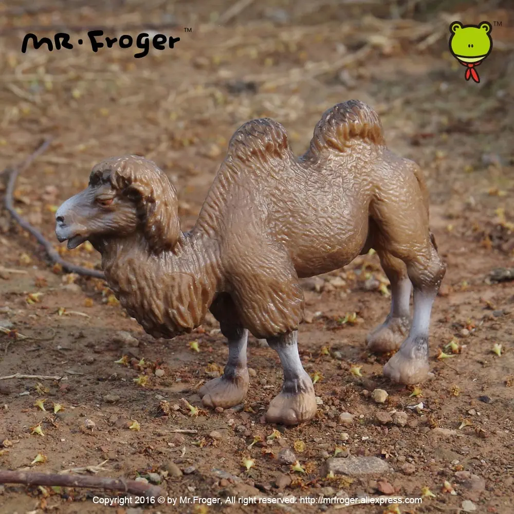 Фото Mr.Froger искусственная игрушка, набор для моделирования зоопарка, твердые пластиковые куклы из ПВХ, Детская научная и образовательная коллекц... №3
