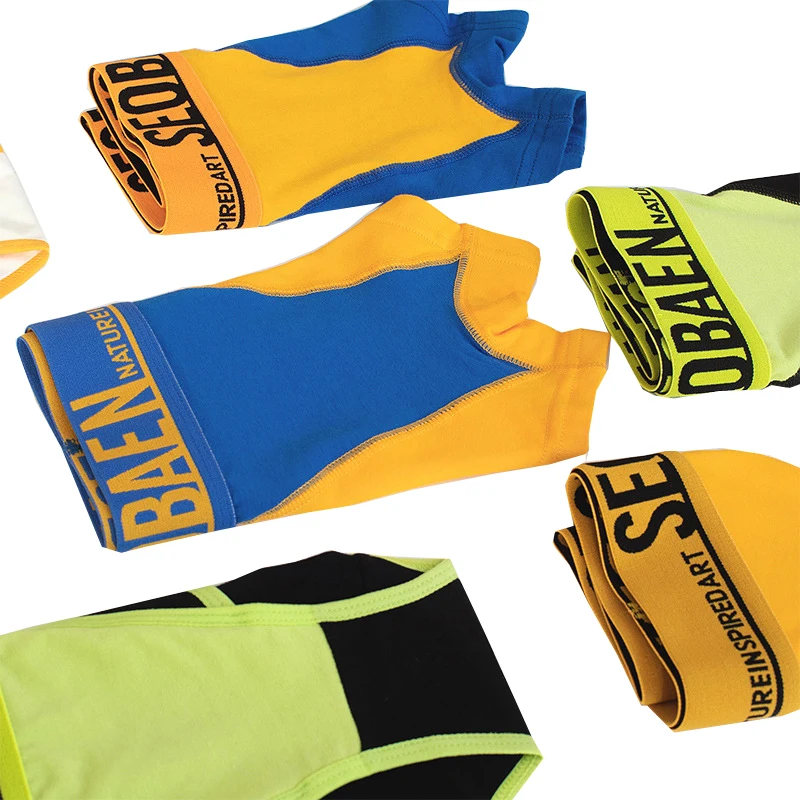 HaleyChan Underwear Women Panties 3 Pcs Cotton Boxer Briefs for Tomboy Trans Lesbian Transgender Ftm Women Sports Underpants