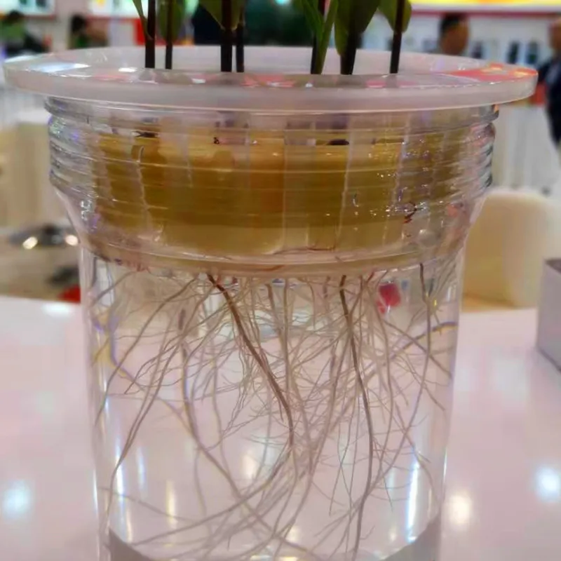 10Gram IBA Of Plant Root Growth Enhancer Promoter | Дом и сад