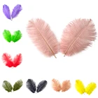 10 шт., белые страусиные перья, 15-20 см