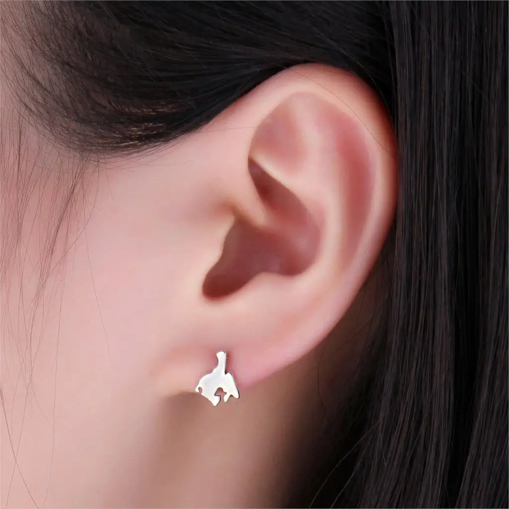 JewelryPalace 925 пробы серебряные мировые путешествия карта мира серьги для женщин как