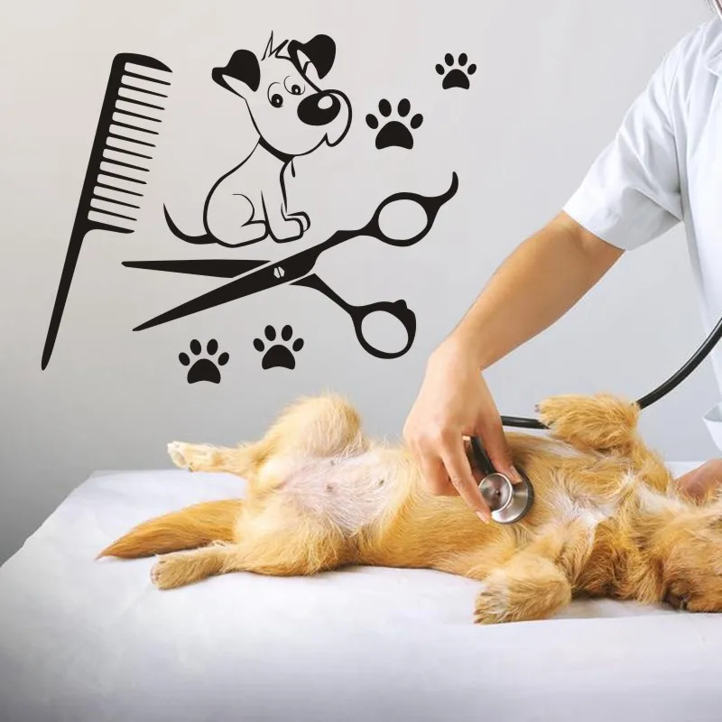 Переводная картинка для салона ухода за домашними животными стикеры плакаты