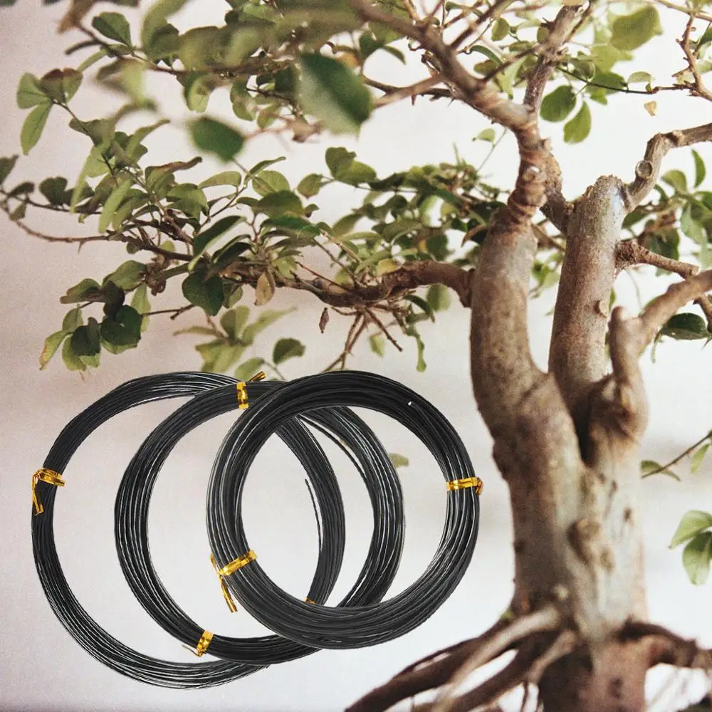 3 роллы анодированный алюминиевый сплав черный провод для бонсай Ремесло Сад 1 0