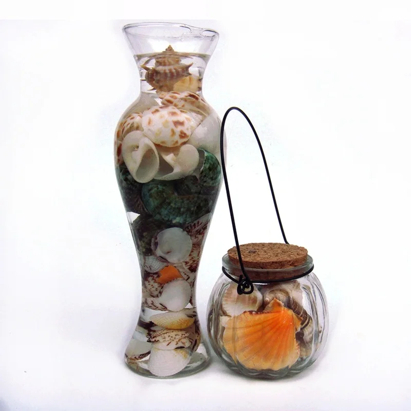 

DIY spiral conch Seashells with holes Natural beach Craft home nautical Decoration for crafts Jewelry Bracelet necklace Starfish