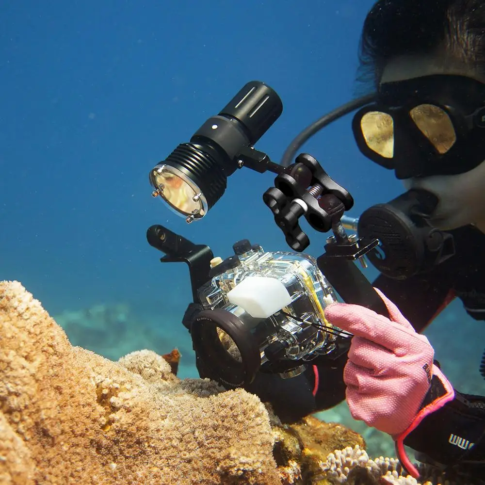 

PULUZ Dual Ball Clamp Diving Camera Bracket CNC Aluminum Spring Flashlight Clamp for Diving Underwater Photography