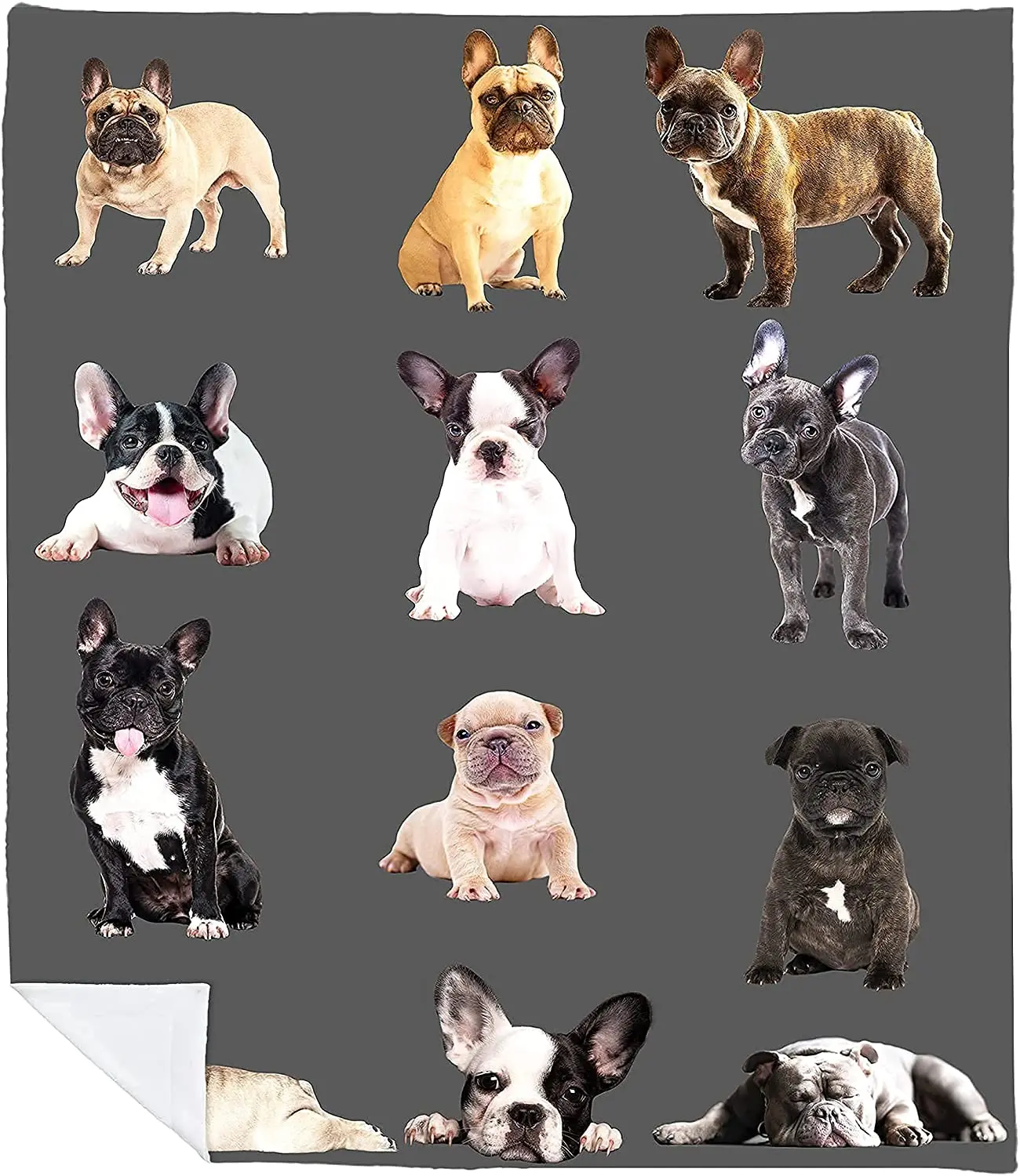 

Одеяло с рисунком французского бульдога шерпа Флисовое одеяло с французским бульдогом