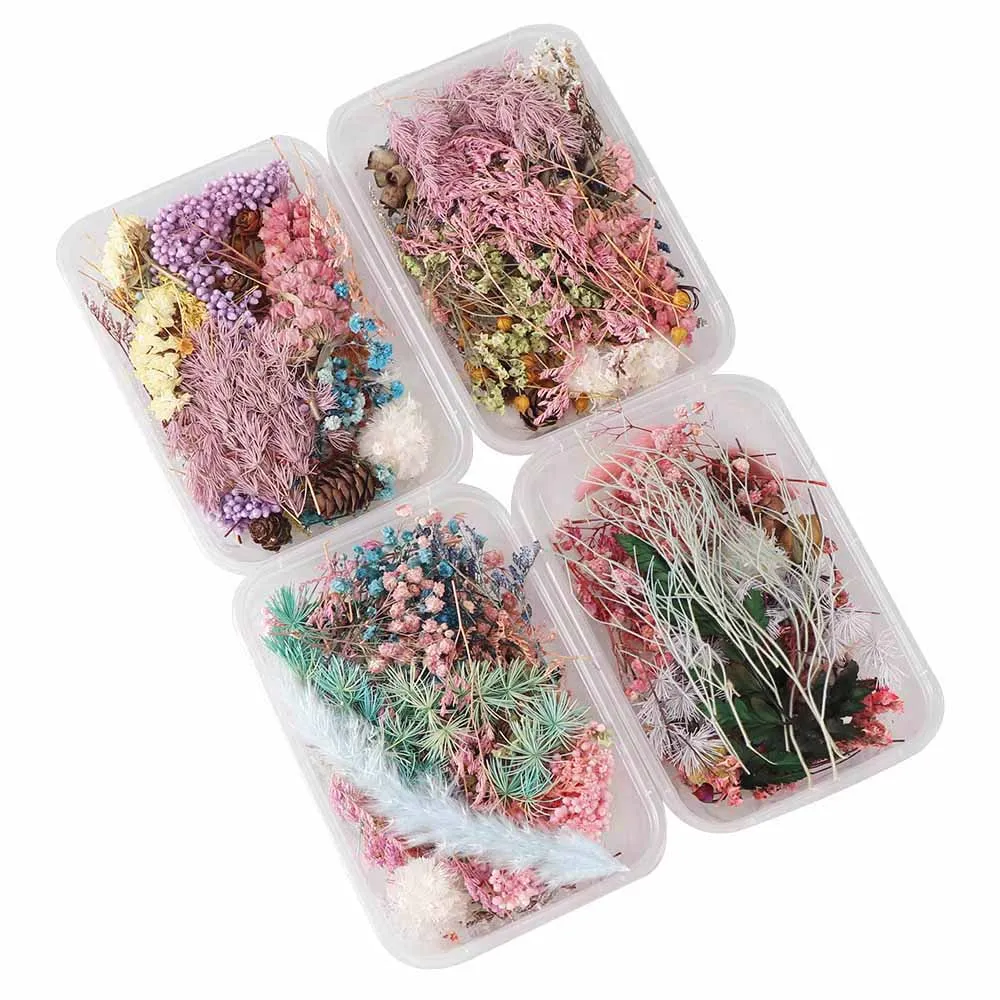Случайный 1 коробка более 8 стилей смешанный цветок прессованный высушенный сухой с растительным принтом в виде листьев для ногтей художественные украшения ювелирных изделий DIY аксессуары