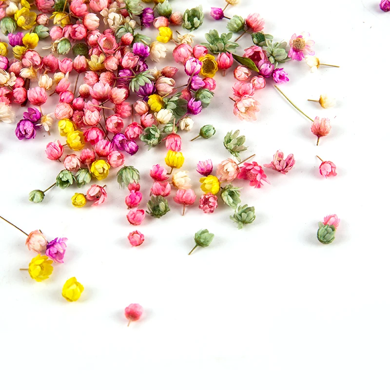 200pc Real Dried Flowers For DIY Art Craft Epoxy Resin Candle Making Jewellery Glass Cover Ball Filler Accessories - купить по