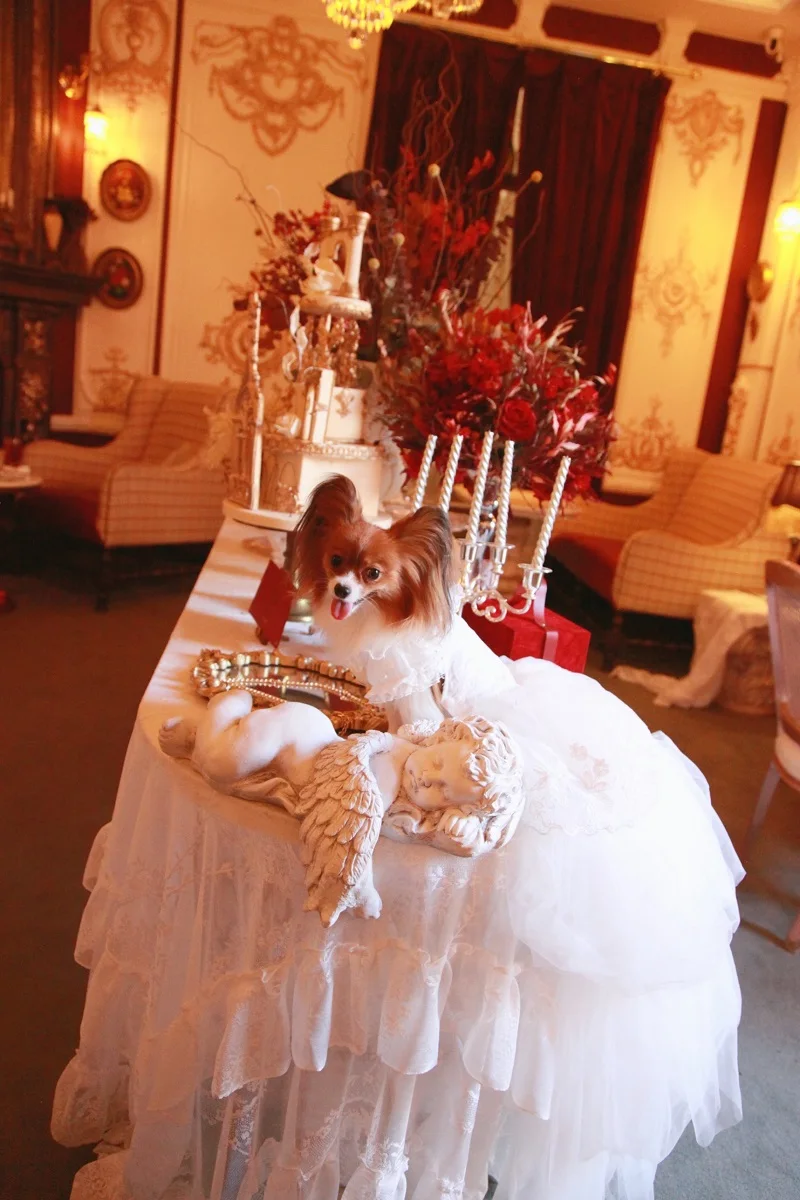 Бесплатная доставка Роскошная Одежда для собак ручной работы свадебное платье