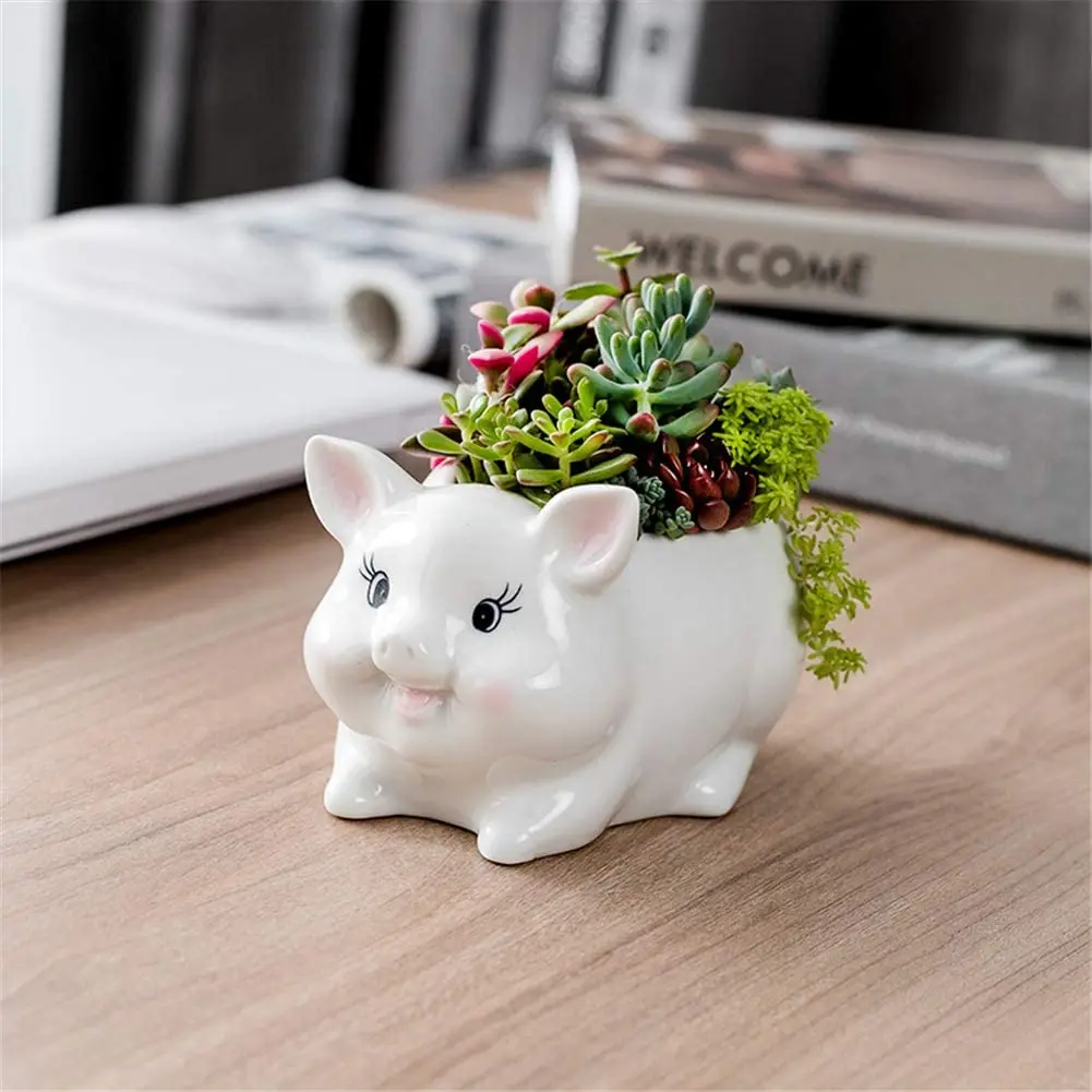 

Cute Planter Pig Pot for Plants 6inch Glazed White Ceramic Succulent Pots for Indoor Succulent Planters Home Office Cactus Decor