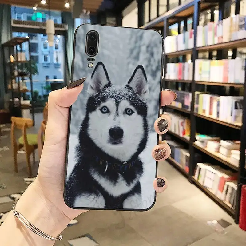 

Husky Dog animal high quality Phone Case For Huawei honor Mate P 10 20 30 40 Pro 10i 9 10 20 8 x Lite