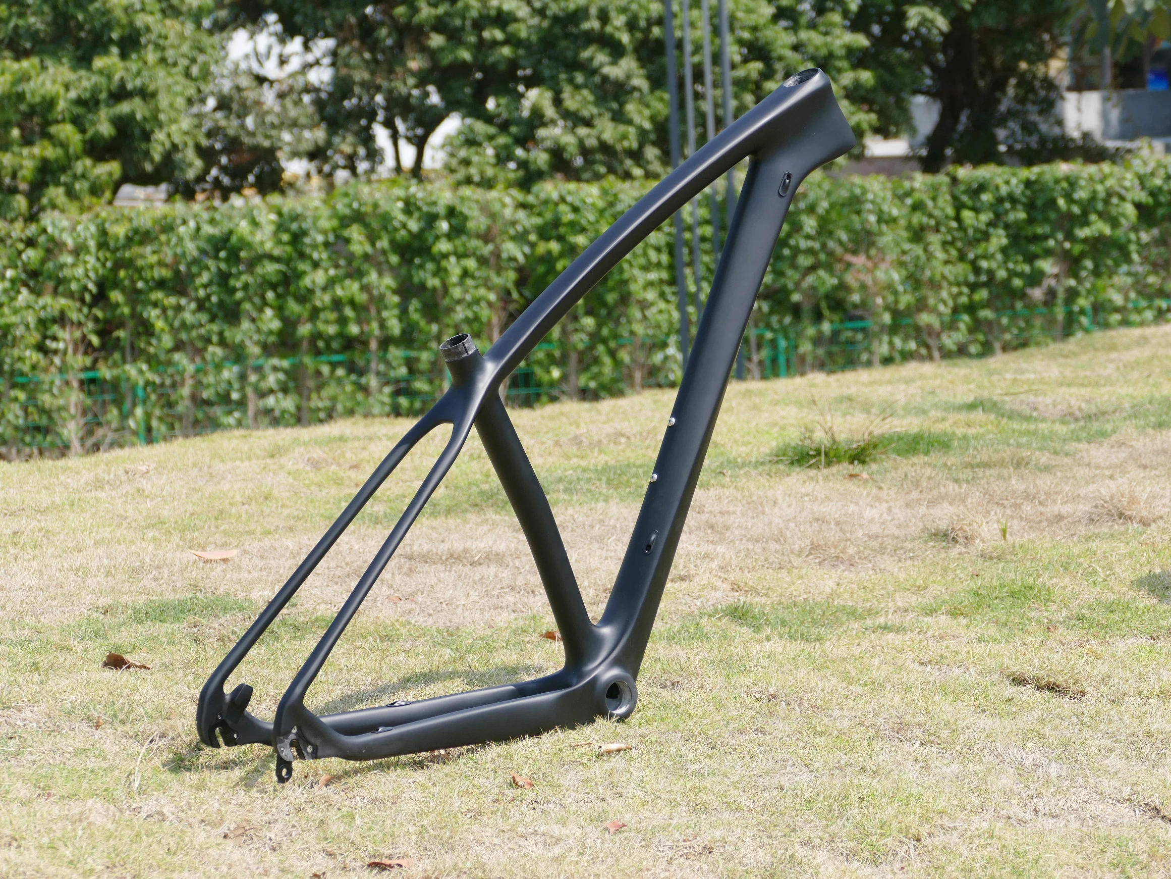 Совершенно новый полностью карбоновый UD матовый горный велосипед FLYXII MTB 29ER